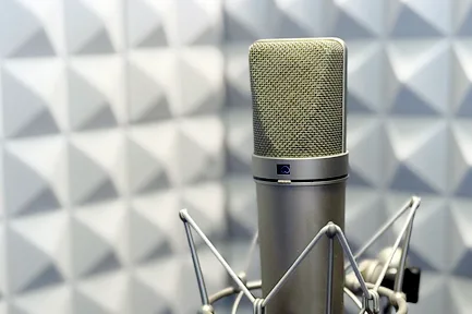 Professionelles Mikrofon