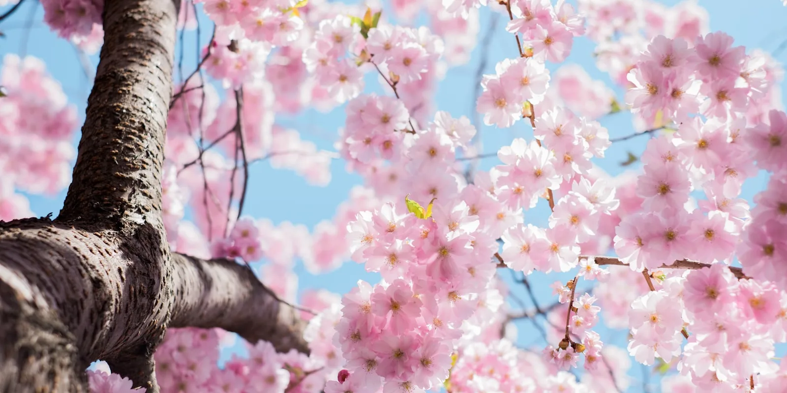 Telefonansage Ostern